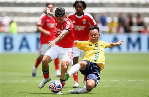 Benfica vs Auckland City