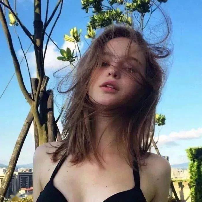 Ansel